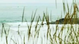 2 anal babes on the beach