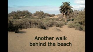 Another walk behind the beach