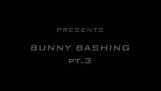 Bunny Bashing