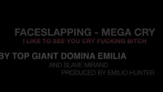 Faceslapping By x3m4