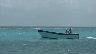Marvellous Trio On A Caribbean Beach