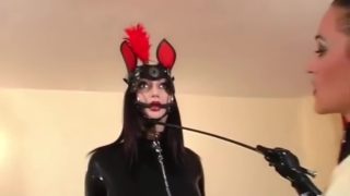 Pony Girl