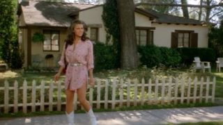 Sherilyn Fenn – The Wraith