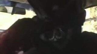 Brazilian Guys Use and Abuse Loving Bitch