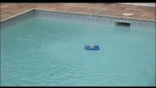 Hot Milf Lets The Poolboy Fuck Her In The Ass